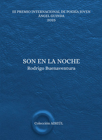 SON EN LA NOCHE