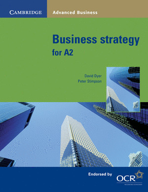 BUSINESS STRATEGY FOR A2