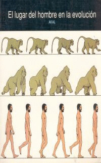 LUGAR DEL HOMBRE EVOLUCION