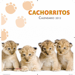 CALENDARIO CACHORRITOS 2013