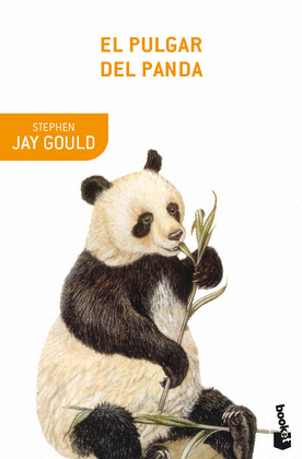 PULGAR DEL PANDA, EL