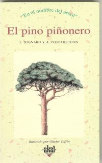 PINO PIÑONERO