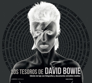 TESOROS DE DAVID BOWIE, LOS