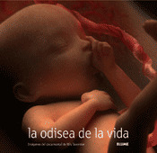 ODISEA DE LA VIDA, LA