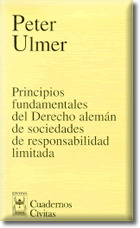 PRINCIPIOS FUNDAMENTALES DERECHO ALEMAN