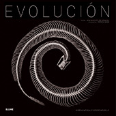 EVOLUCION