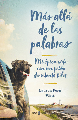 MAS ALLA DE LAS PALABRAS