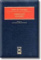 DERECHO MINERO