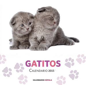 CALENDARIO GATITOS 2015