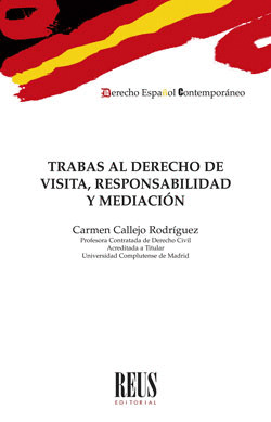 TRABAS AL DERECHO DE VISITA, RESPONSABILIDAD Y MEDIACION