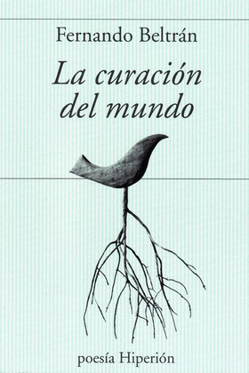 CURACIÓN DEL MUNDO, LA