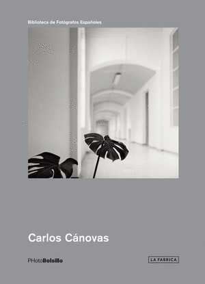 CARLOS CÁNOVAS
