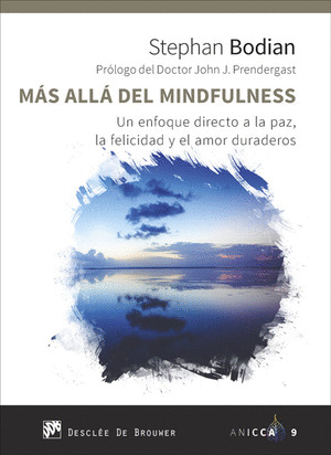 MÁS ALLÁ DEL MINDFULNESS