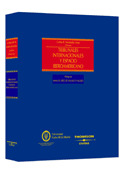 TRIBUNALES INTERNACIONALES Y ESPACIO IBEROAMERICAN