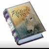 PLATERO Y YO