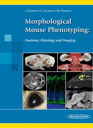 RUBERTE:MORPHOLOGICAL MOUSE PHENOTYPING