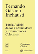 TUTELA JUDICIAL DE LOS CONSUMIDORES Y TRANSACCIONE