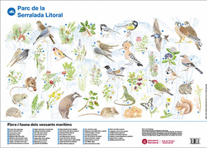 FLORA I FAUNA DELS VESSANTS MARÍTIMS