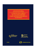 PROTECCION JURIDICA DE LOS CONSUMIDORES COMO MOTORO DE DESARROLLO