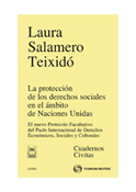 PROTECCION DE DERECHOS SOCIALES EN AMBITO DE NACIONES UNIDAS