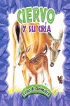 CIERVO Y SU CRIA