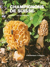 CHAMPIGNONS DE SUISSE TOME 1 LES ASCOMYCETES