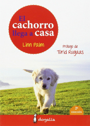 EL CACHORRO LLEGA A CASA