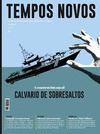 REVISTA TEMPOS NOVOS, 273: A CONSTRUCCION NAVAL CALVARIO DE SOBRESALTOS