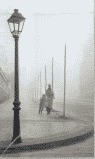LA SOMBRA DEL VIENTO (ESTUCHE)
