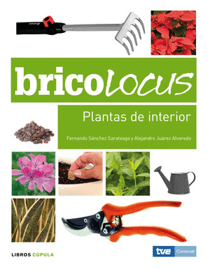 BRICOLOCUS: PLANTAS DE INTERIOR