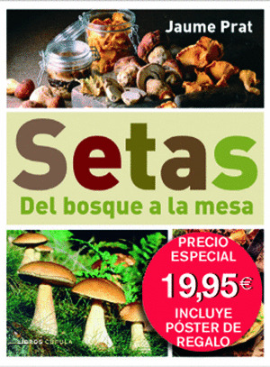 SETAS. DEL BOSQUE... + POSTER