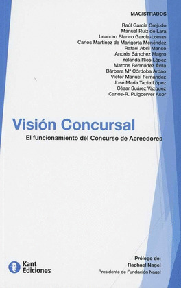 VISION CONCURSAL