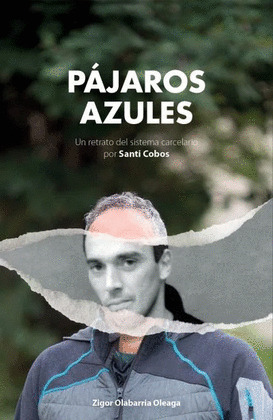 PÁJAROS AZULES