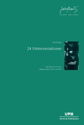 24 VINTERVARIATIONER