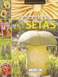 LAS SETAS
