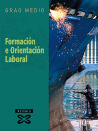 FORMACION E ORIENTACION LABORAL (GM)