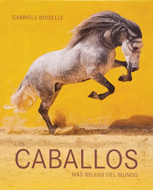 LOS CABALLOS MÁS BELOS DEL MUNDO