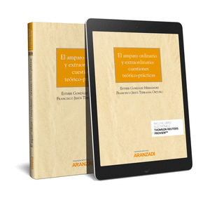 EL AMPARO ORDINARIO Y EXTRAORDINARIO: CUESTIONES TEORICO-PRACTICAS (PAPEL + E-BO