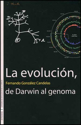 LA EVOLUCIÓN