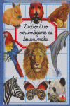 DICCIONARIO POR IMAGENES DE ANIMALES.