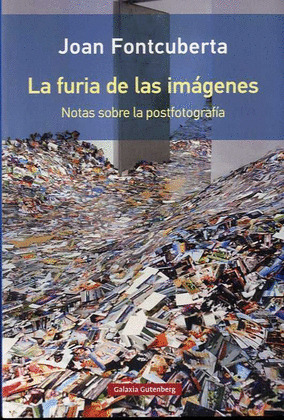 LA FURIA DE LAS IMAGENES- RUSTICA