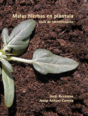 MALAS HIERBAS EN PLANTULA.