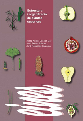 ESTRUCTURA I ORGANITZACIO DE PLANTES SUPERIORS.