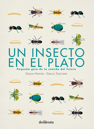 INSECTO EN EL PLATO, UN