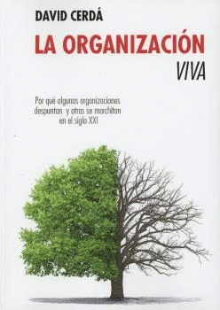 ORGANIZACIÓN VIVA,LA