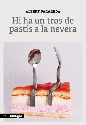 HI HA UN TROS DE PASTÍS A LA NEVERA