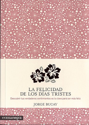 FELICIDAD DE LOS DÍAS TRISTES, LA