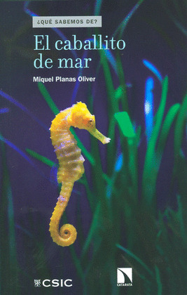 EL CABALLITO DE MAR