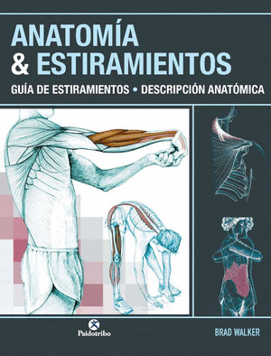 ANATOMIA & ESTIRAMIENTOS. GUIA DE ESTIRAMIENTOS. DESCRIPCION ANATOMICA (COLOR)