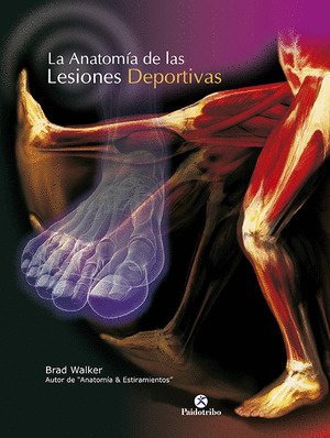 ANATOMIA DE LAS LESIONES DEPORTIVAS